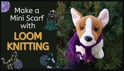 SkillShare - How to Make a Mini Scarf with Loom Knitting!