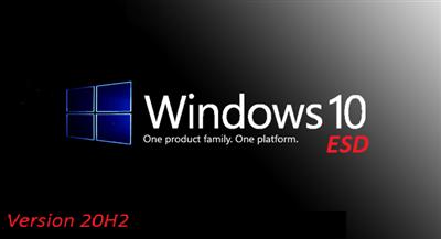 Windows 10 20H2 Build 19042.868 x64 Pro OEM ESD en US fr CA Preactivated March 2021