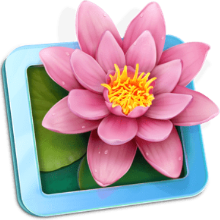 LilyView 1.5.1 macOS