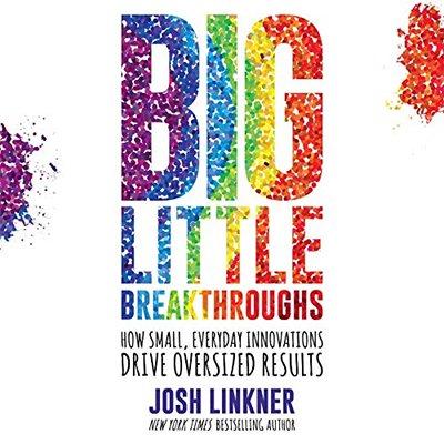 Big Little Breakthroughs: How Small, Everyday Innovations Drive Oversized Results (Audiobook)
