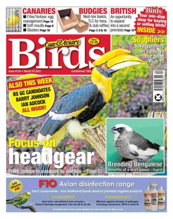 Cage & Aviary Birds   24 March 2021