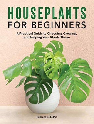 Houseplants for Beginners: A Practical Guide to Choosing, Growing, and Helping Your Plants