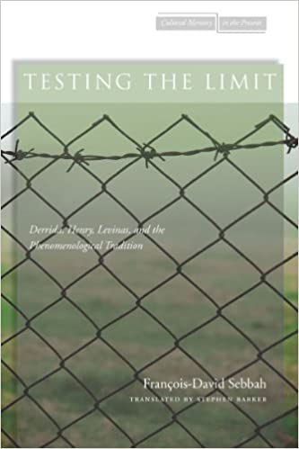 Testing the Limit: Derrida, Henry, Levinas, and the Phenomenological Tradition