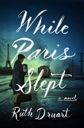 While Paris Slept: A Novel