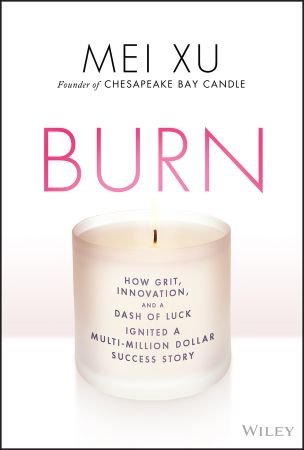 Burn: How Grit, Innovation, and a Dash of Luck Ignited a Multi Million Dollar Success Story