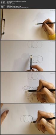 How to Draw and Sketch Animal with Pencil Step by  Step B93493456cda016a57cf59501fafc255