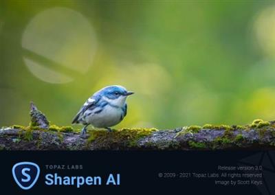 Topaz Sharpen AI 3.0.1  (x64)