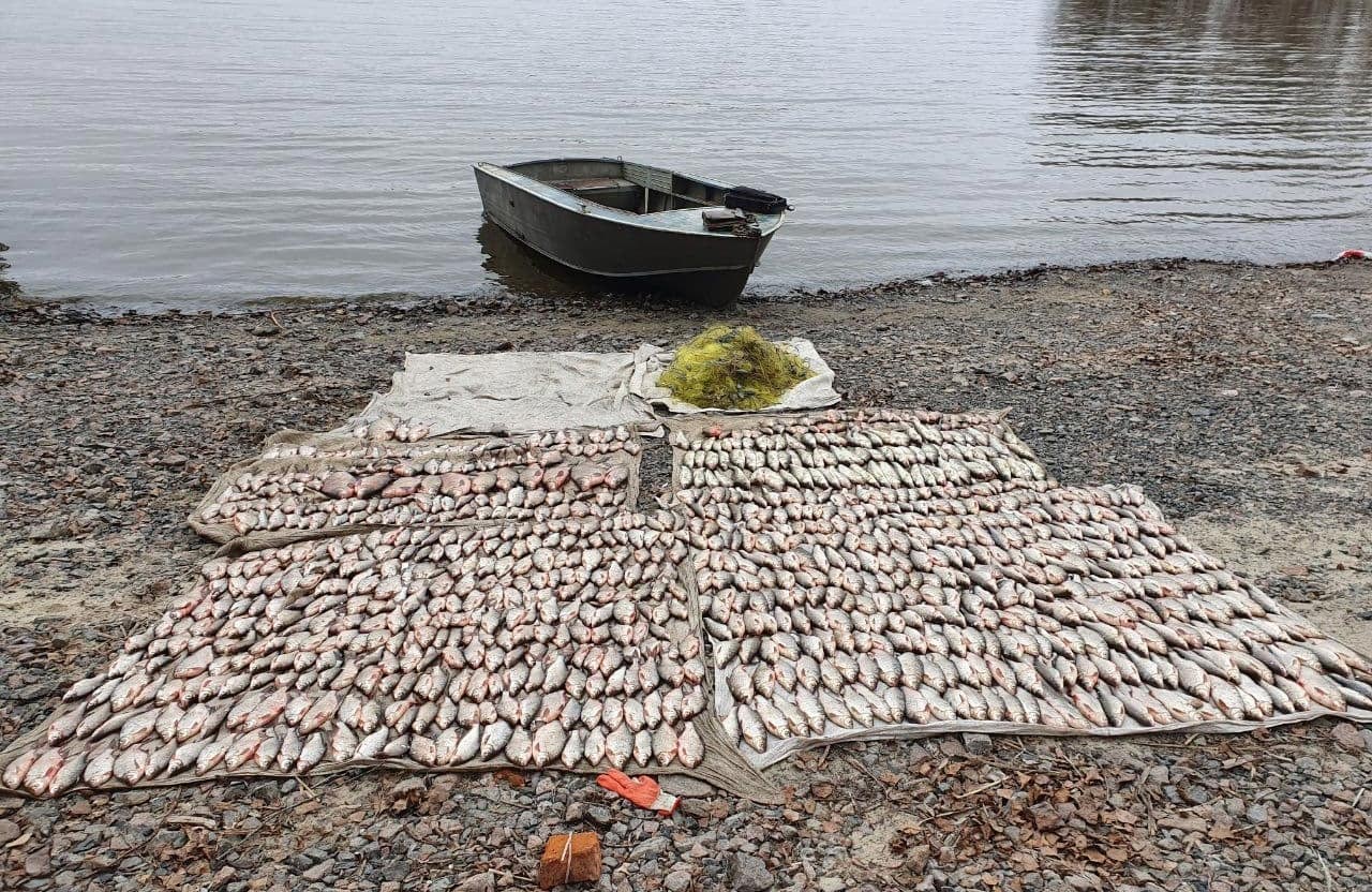 Вісті з Полтави - З 1 квітня на Полтавщині заборонено виловлювати рибу та раків