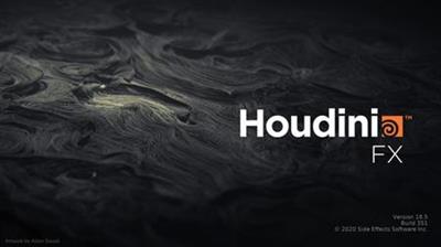 SideFX Houdini FX 18.5.532 (x64)