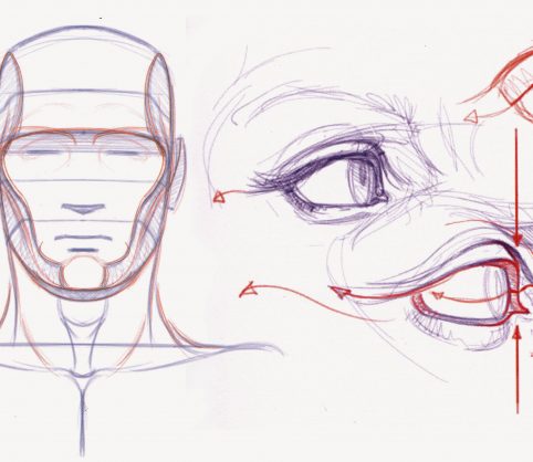 Constructive Head Drawing