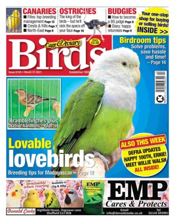 Cage & Aviary Birds   31 March 2021