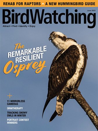 BirdWatching   May/June 2021