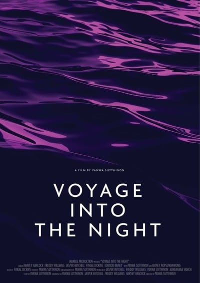 Voyage Into the Night 2021 WEBRip XviD MP3-XVID
