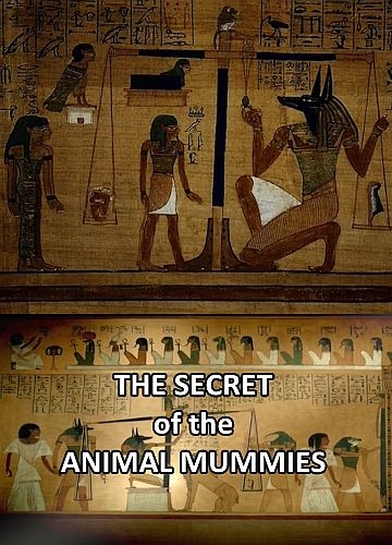 Мумии животных и их тайны / The Secret of the Animal Mummies (2019) SATRip-AVC | P2
