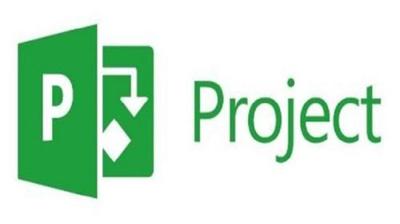 MS Project Professional Beginner to Expert
