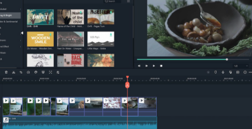 Learn Video Editing with Filmora X