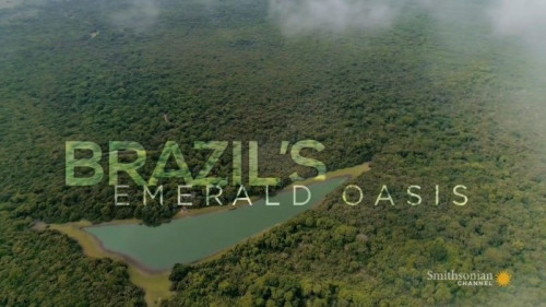Smithsonian Channel - Brazil's Emerald Oasis (2019)