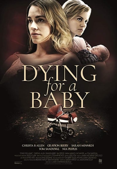 Dying For A Baby 2019 1080p AMZN WEB-DL DDP5 1 H 264-Meakes