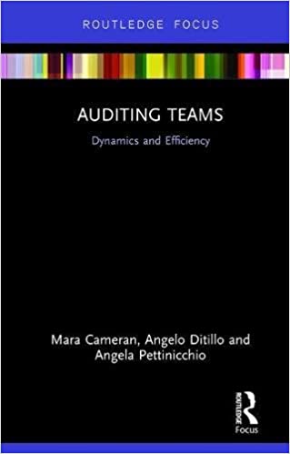 Auditing Teams: Dynamics and Efficiency