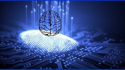 Udemy - The beginners course to understand The Brain Design