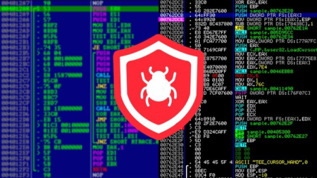 Reverse Engineering, Debugging and Malware Analysis - 2021
