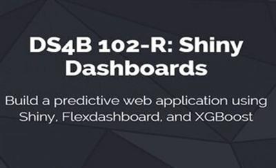 DS4B 102 R: Shiny Dashboards