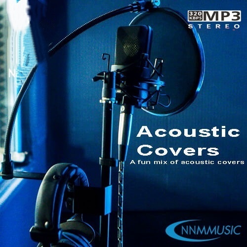 Acoustic Covers Playlist (2021)