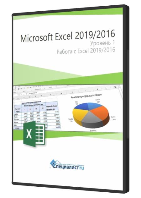 Microsoft Excel 2019/2016. Уровень 1. Работа с Excel 2019/2016 (2020)