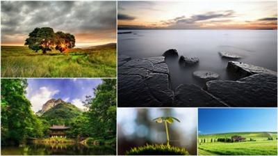 Best nature wallpapers (Part 214)