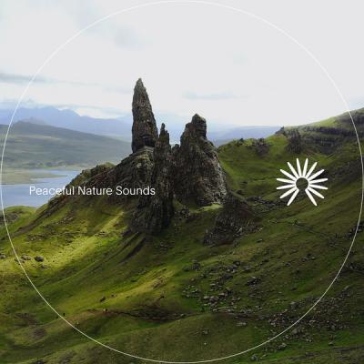 Various Artists   Peaceful Nature Sounds (2021)