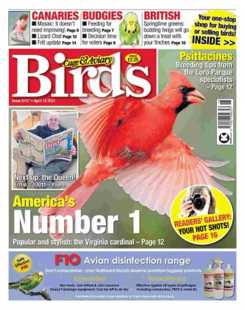 Cage & Aviary Birds   14 April 2021