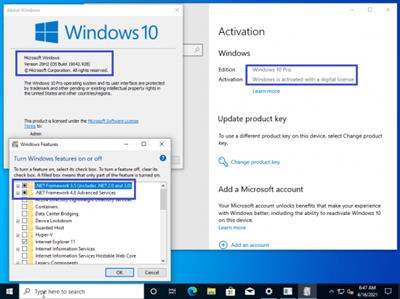 Windows 10 Pro 20H2 10.0.19042.928 (x86/x64) With Office 2019 Pro Plus Preactivated Multilingual April 2021