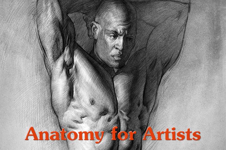 Anatomy of the Human Body Course 2021 (Update 06/2021)