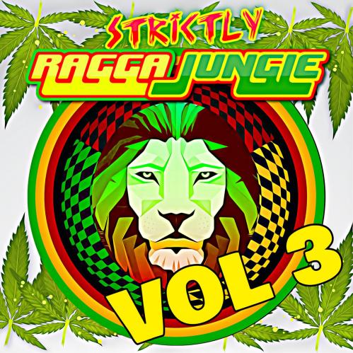 DJ STP - STRICTLY RAGGA JUNGLE VOL 3