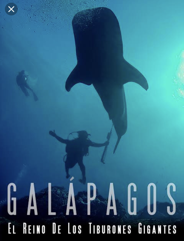 Galapagos-Realm of Giant Sharks 2012 2160p WEB H265-BIGDOC