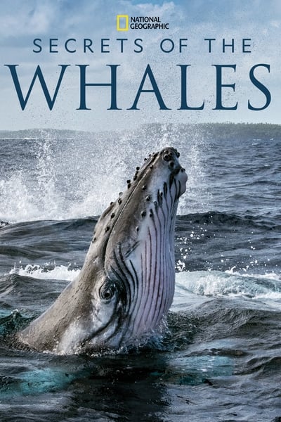 Secrets of the Whales S01E04 Ocean Giants DSNP WEB-DL DDP5 1 H 264-LAZY