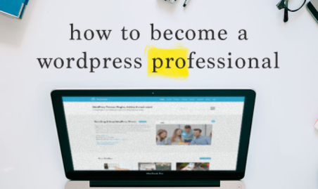 Becoming a Wordpress Professional