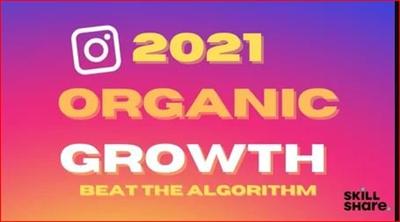 The Complete Guide On How to Grow on Instagram (Beat the Algorithm)