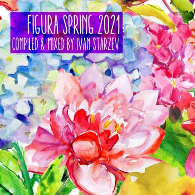 Various Artists   Figura Spring 2021 (2021) flac