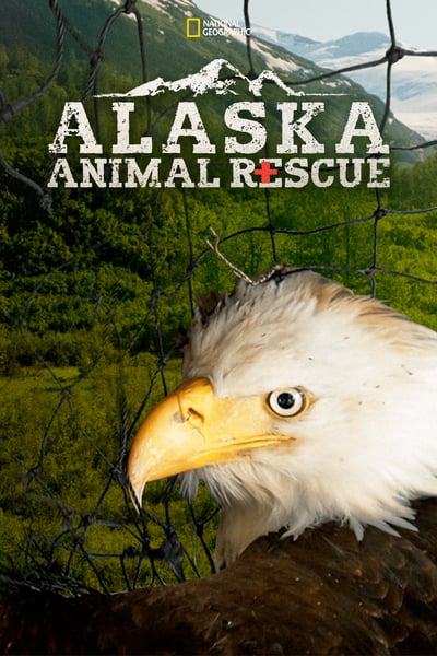 Alaska Animal Rescue S02E05 Duck Duck Moose WEB-DL AAC2 0 x264-BOOP