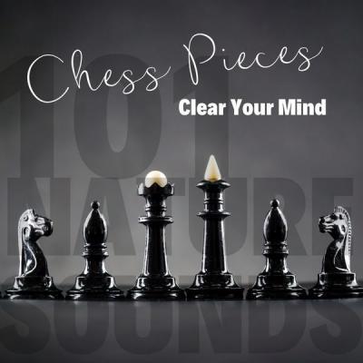 101 Nature Sounds   Chess Pieces   Clear Your Mind (2021)