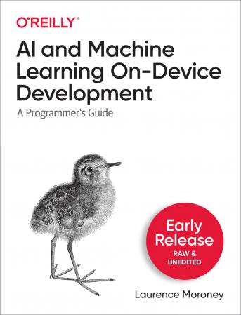 AI and Machine Learning On Device Development