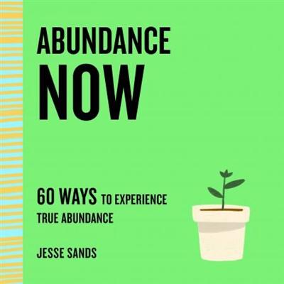Abundance Now: 60 Ways to Experience True Abundance (The Now)