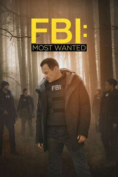 FBI Most Wanted S02E11 1080p HEVC x265-MeGusta