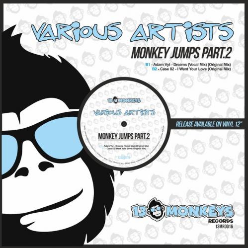Download Adam Vyt, Case 82 - Monkey Jumps Part.2 [13MRD016] mp3