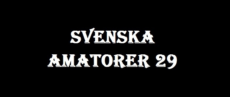 Svenska Amatorer #29 /   #29 (Nordic Adult Entertainment Sweden AB) [2011 ., Amateur, All Sex, Hardcore, Oral, Outdoor, Masturbation, Toys, Lesby, DVDRip]