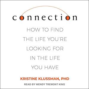 Connection: How to Find the Life You're Looking for in the Life You Have [Audiobook]