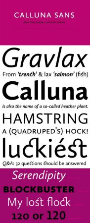 Calluna Sans Font Family   10 Fonts for $119