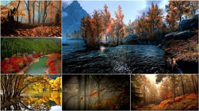 Fall scenery wallpapers (Pack 48)