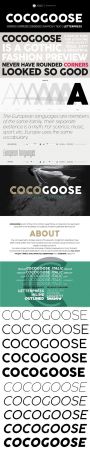 Cocogoose Sans Serif Typeface [10 Weights]